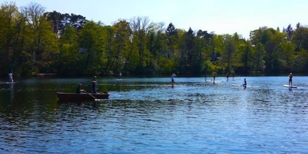 SUP Verleih Schlachtensee-Stand-Up-Paddling-Stehpaddler-04