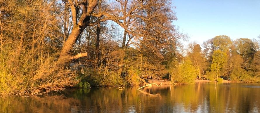 Schlachtensee Badestelle Sonnenuntergang